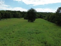 Działka Sprzedaż - świętokrzyskie, kielecki, Piekoszów, Jaworznia