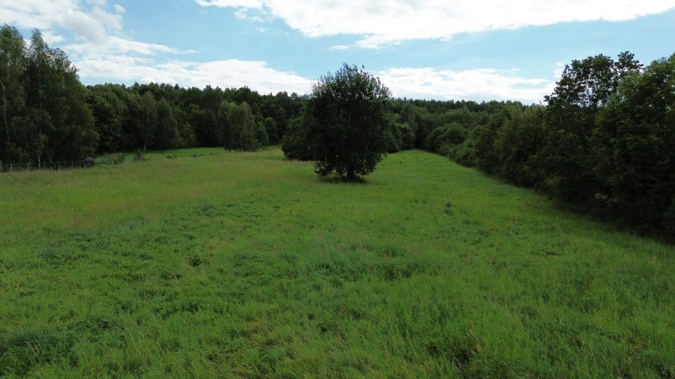 Działka Sprzedaż - świętokrzyskie, kielecki, Piekoszów, Jaworznia