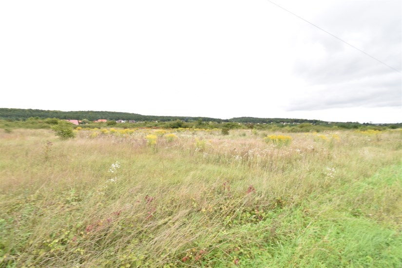 Działka Sprzedaż - świętokrzyskie, kielecki, Chęciny