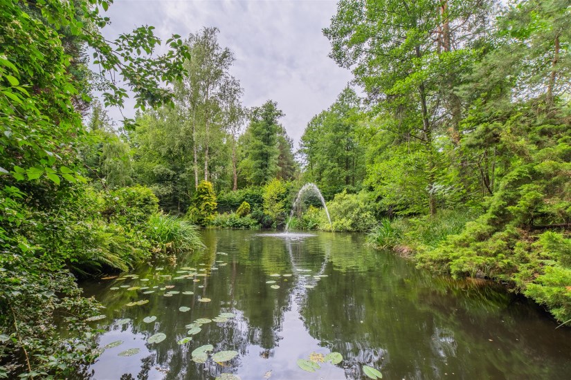 Dom Sprzedaż - świętokrzyskie, kielecki, Zagnańsk, Samsonów