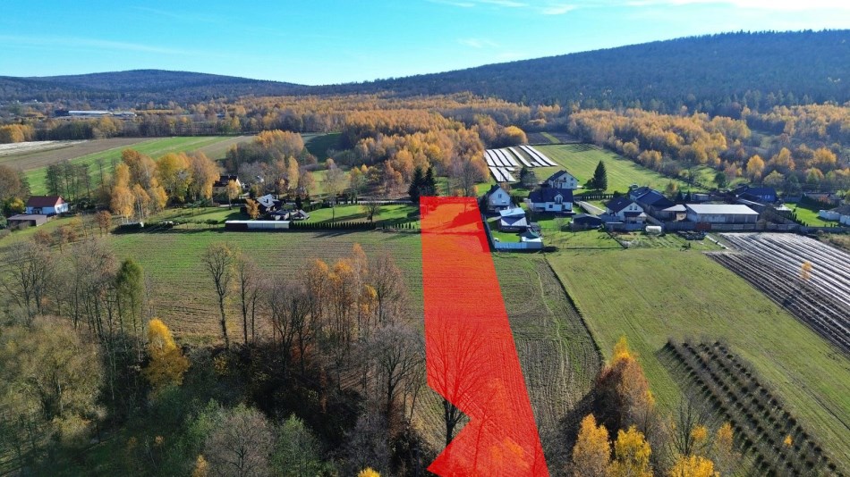 Działka Sprzedaż - świętokrzyskie, kielecki, Nowa Słupia, Jeleniów