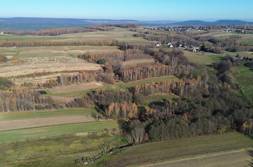 Działka Sprzedaż - świętokrzyskie, kielecki, Górno, Bęczków