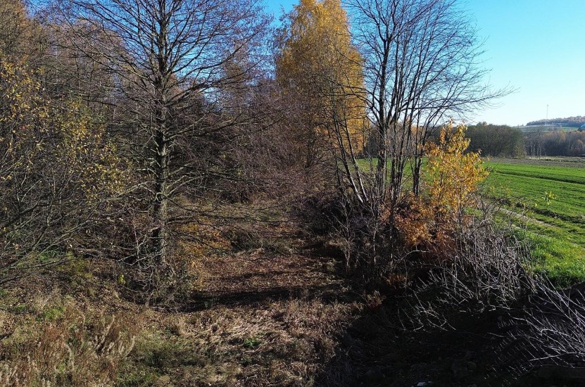 Działka Sprzedaż - świętokrzyskie, kielecki, Górno, Bęczków