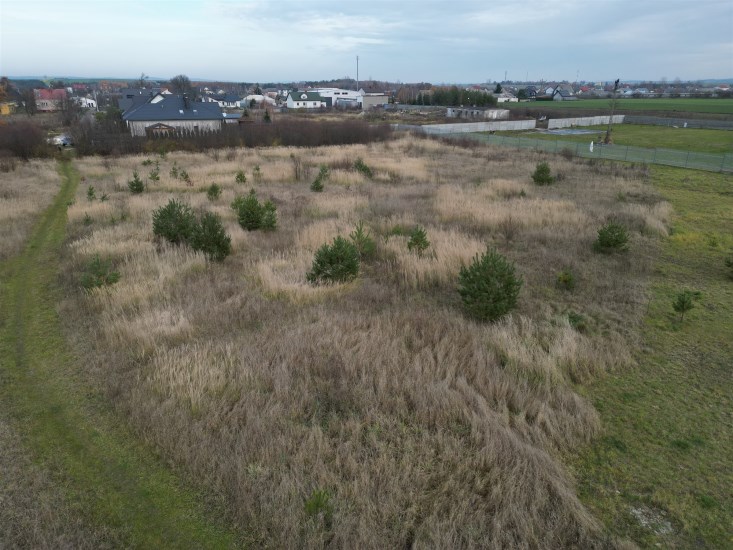 Działka Sprzedaż - świętokrzyskie, jędrzejowski, Sobków, Miąsowa