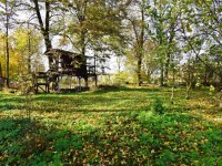 Dom Sprzedaż - świętokrzyskie, jędrzejowski, Wodzisław, Piotrkowice