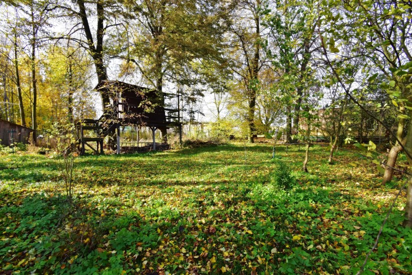 Dom Sprzedaż - świętokrzyskie, jędrzejowski, Wodzisław, Piotrkowice