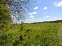 Działka Sprzedaż - świętokrzyskie, kielecki, Morawica, Dyminy