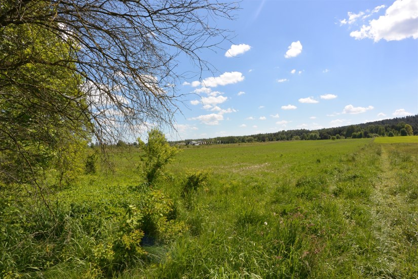 Działka Sprzedaż - świętokrzyskie, kielecki, Morawica, Dyminy