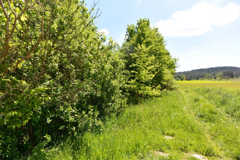 Działka Sprzedaż - świętokrzyskie, kielecki, Morawica, Dyminy