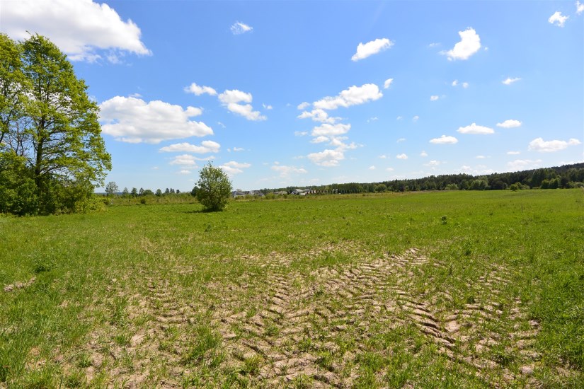 Działka Sprzedaż - świętokrzyskie, kielecki, Morawica, Dyminy