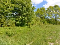 Działka Sprzedaż - świętokrzyskie, kielecki, Morawica, Dyminy