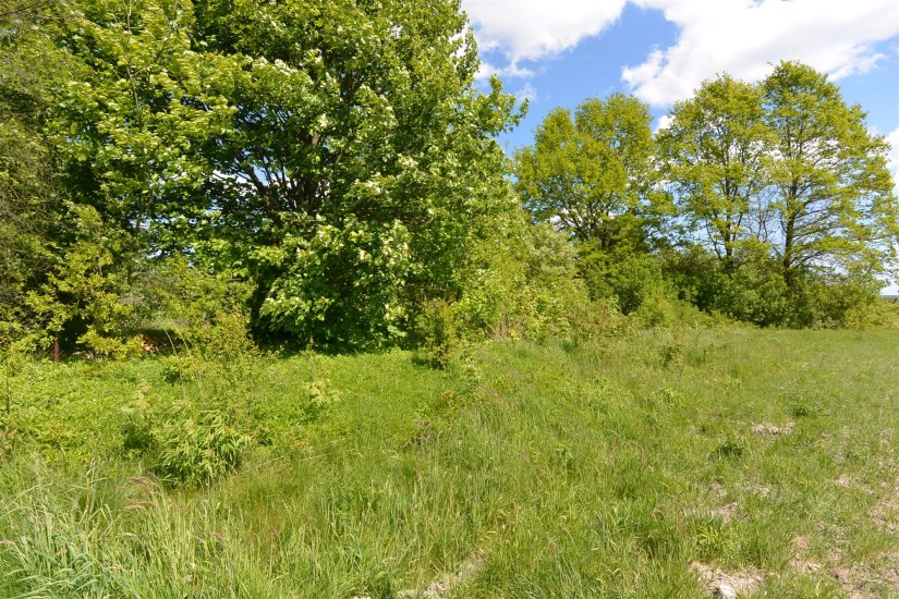 Działka Sprzedaż - świętokrzyskie, kielecki, Morawica, Dyminy