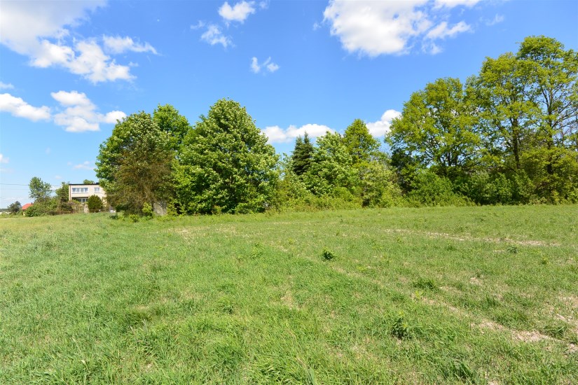 Działka Sprzedaż - świętokrzyskie, kielecki, Morawica, Dyminy