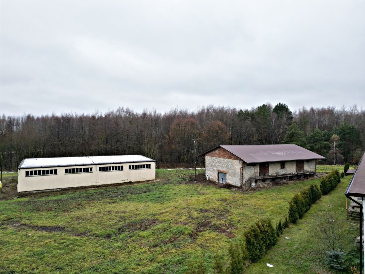 Hala Sprzedaż - świętokrzyskie, staszowski, Szydłów