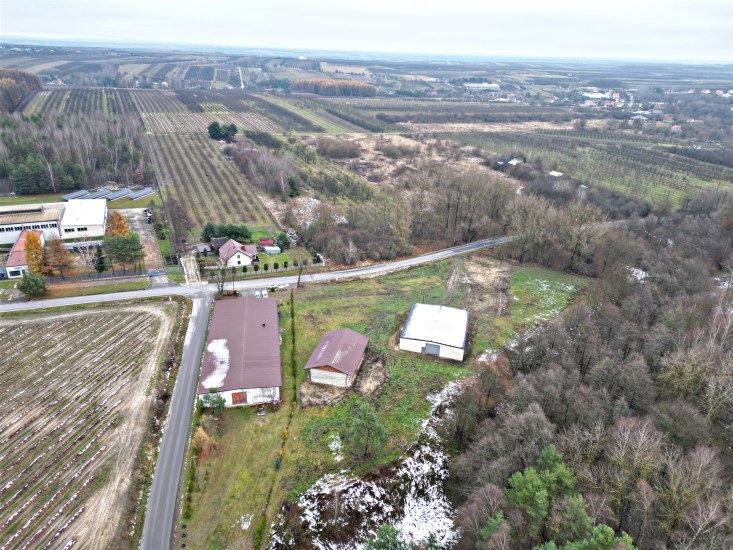 Hala Sprzedaż - świętokrzyskie, staszowski, Szydłów