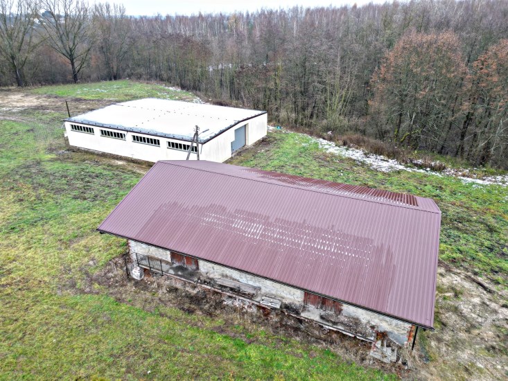 Hala Sprzedaż - świętokrzyskie, staszowski, Szydłów