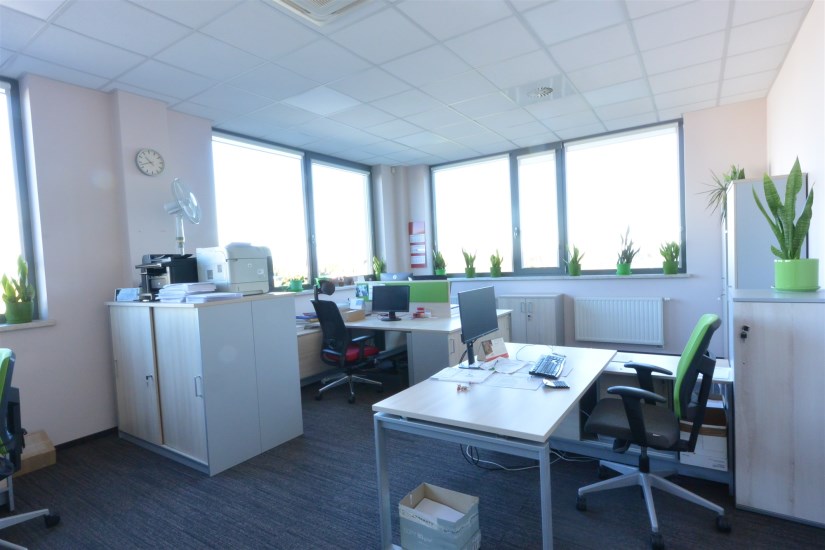 Hala Wynajem - świętokrzyskie, kielecki, Morawica, Bilcza