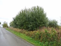 Działka Sprzedaż - śląskie, bielski, Czechowice-Dziedzice