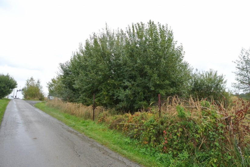 Działka Sprzedaż - śląskie, bielski, Czechowice-Dziedzice