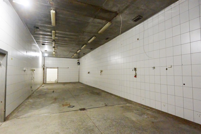 Hala Wynajem - świętokrzyskie, kielecki, Piekoszów