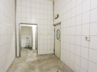 Hala Wynajem - świętokrzyskie, kielecki, Piekoszów