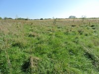 Działka Sprzedaż - świętokrzyskie, buski, Busko-Zdrój, Siesławice