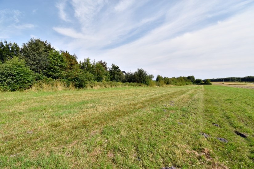 Działka Sprzedaż - świętokrzyskie, kielecki, Górno, Radlin