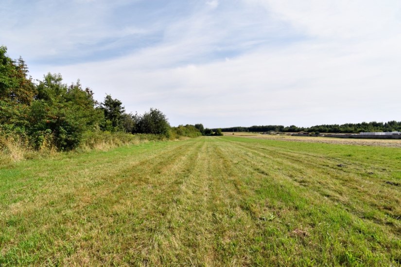 Działka Sprzedaż - świętokrzyskie, kielecki, Górno, Radlin