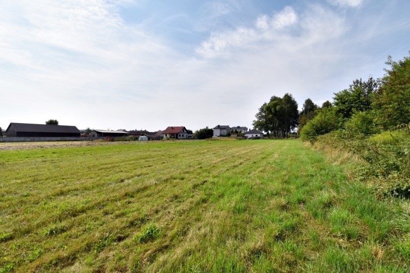 Działka Sprzedaż - świętokrzyskie, kielecki, Górno, Radlin