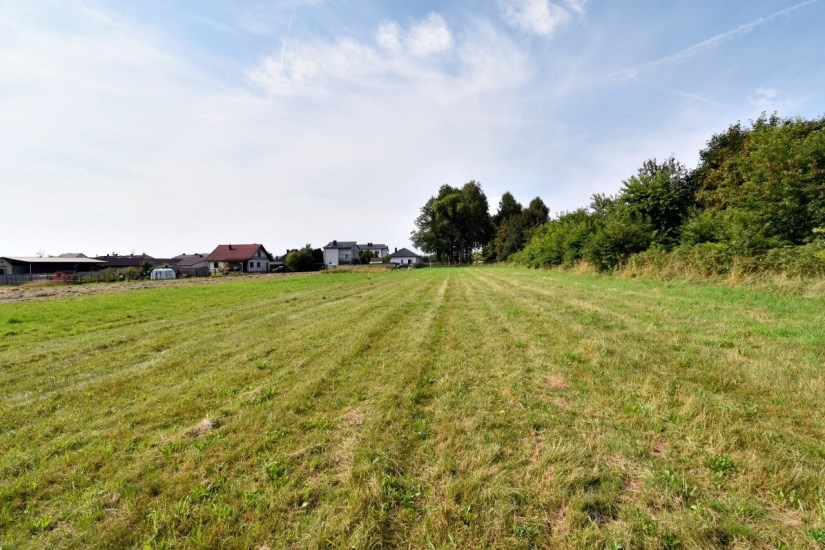 Działka Sprzedaż - świętokrzyskie, kielecki, Górno, Radlin