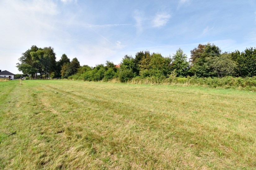 Działka Sprzedaż - świętokrzyskie, kielecki, Górno, Radlin