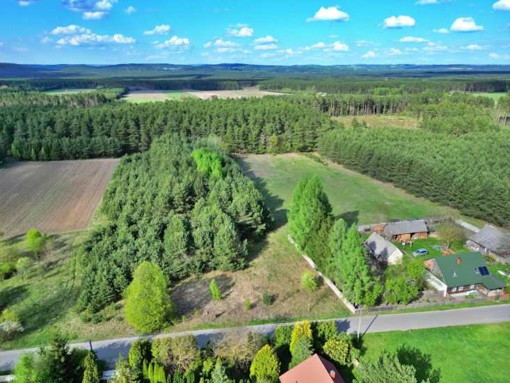 Działka Sprzedaż - świętokrzyskie, kielecki, Raków, Celiny