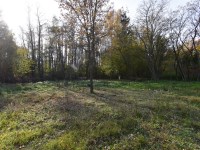 Działka Sprzedaż - świętokrzyskie, jędrzejowski, Oksa