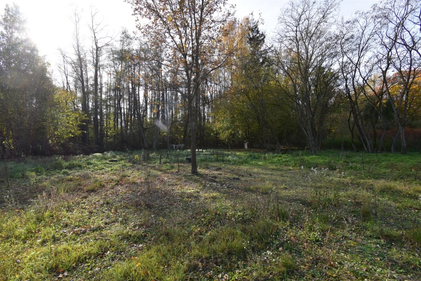 Działka Sprzedaż - świętokrzyskie, jędrzejowski, Oksa