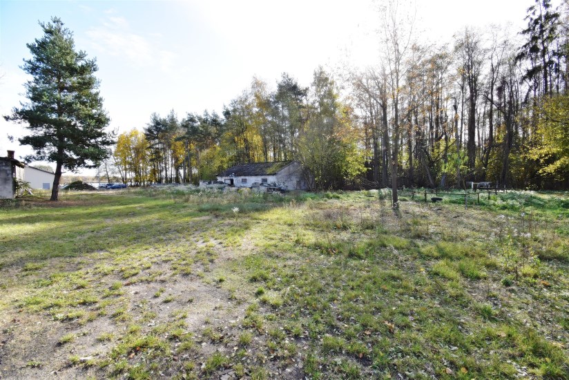 Działka Sprzedaż - świętokrzyskie, jędrzejowski, Oksa