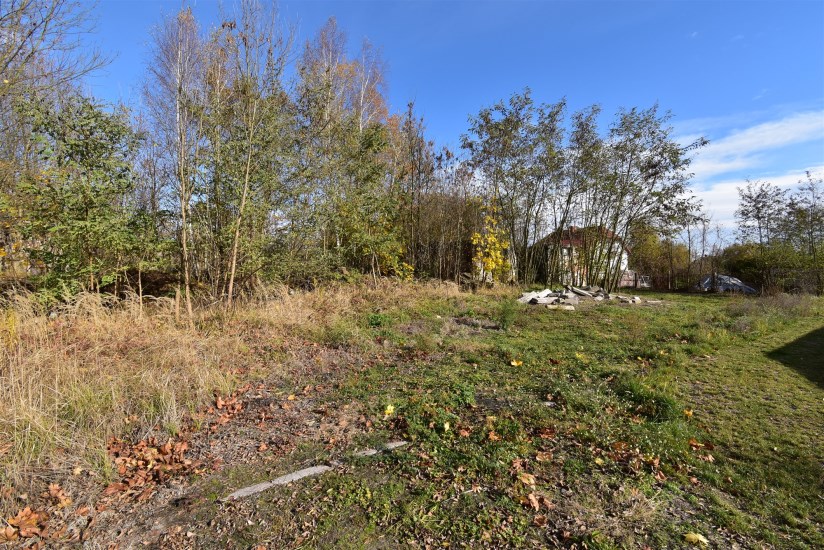 Działka Sprzedaż - świętokrzyskie, jędrzejowski, Oksa