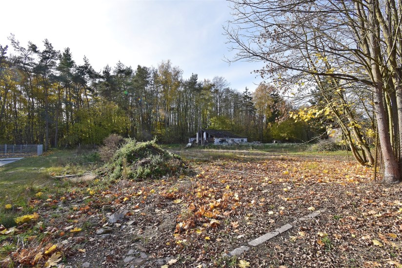 Działka Sprzedaż - świętokrzyskie, jędrzejowski, Oksa