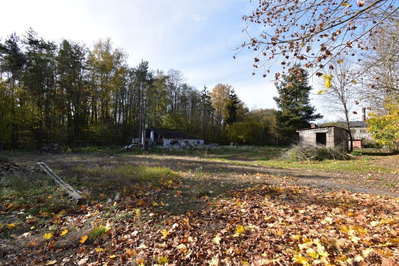 Działka Sprzedaż - świętokrzyskie, jędrzejowski, Oksa