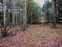 Działka Sprzedaż - świętokrzyskie, kielecki, Raków, Pągowiec