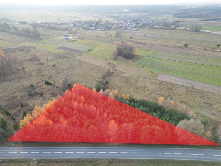 Działka Sprzedaż - świętokrzyskie, kielecki, Łopuszno, Jedle