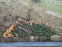 Działka Sprzedaż - świętokrzyskie, kielecki, Łopuszno, Jedle