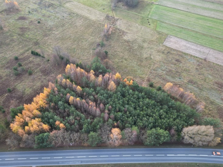 Działka Sprzedaż - świętokrzyskie, kielecki, Łopuszno, Jedle