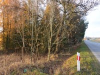 Działka Sprzedaż - świętokrzyskie, kielecki, Łopuszno, Jedle