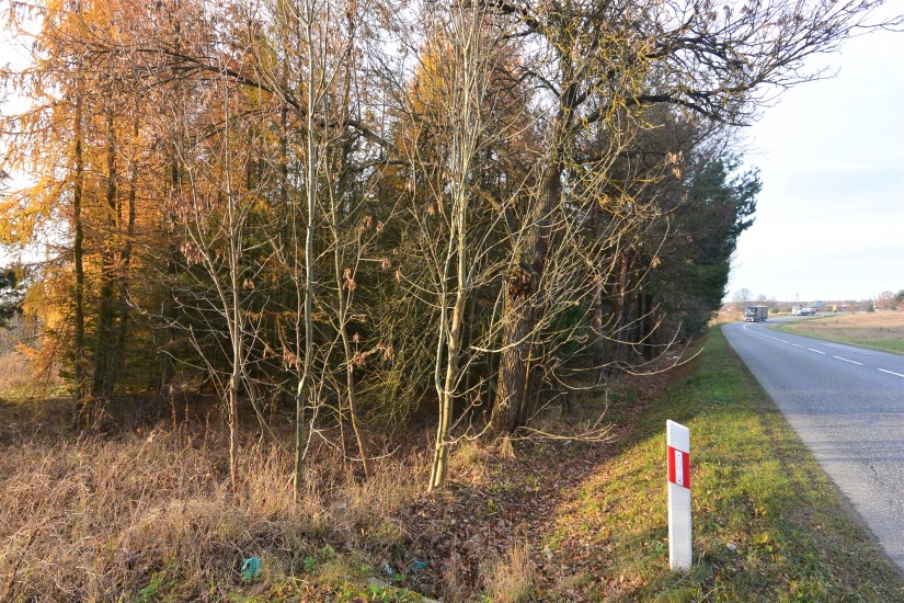 Działka Sprzedaż - świętokrzyskie, kielecki, Łopuszno, Jedle