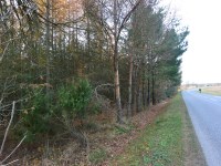 Działka Sprzedaż - świętokrzyskie, kielecki, Łopuszno, Jedle