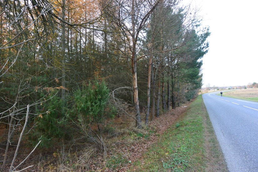 Działka Sprzedaż - świętokrzyskie, kielecki, Łopuszno, Jedle