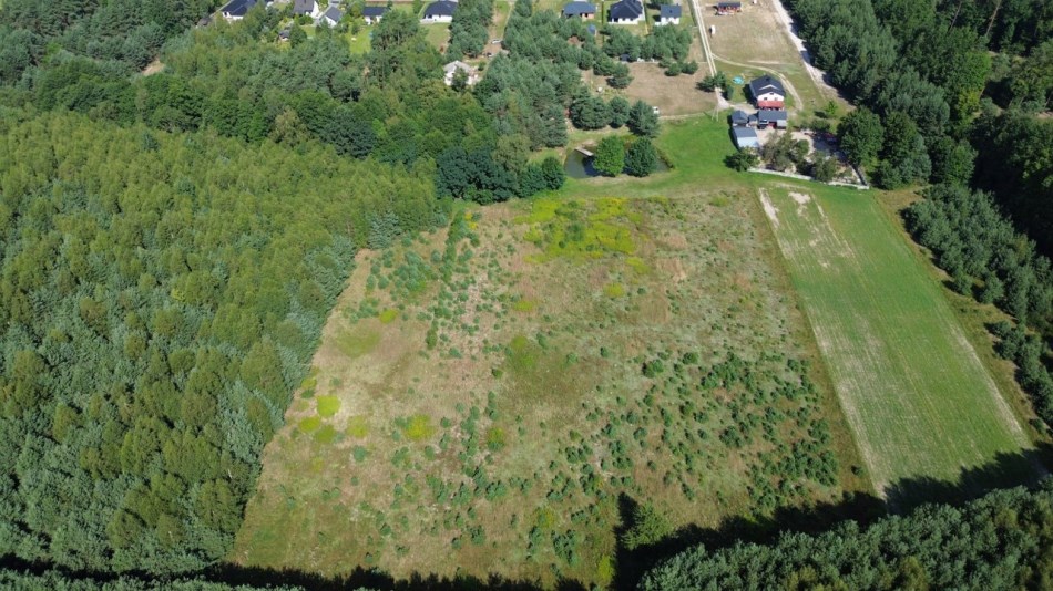Działka Sprzedaż - świętokrzyskie, staszowski, Bogoria, Bogoria-Kolonia