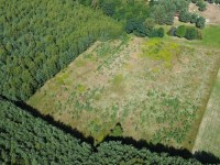 Działka Sprzedaż - świętokrzyskie, staszowski, Bogoria, Bogoria-Kolonia