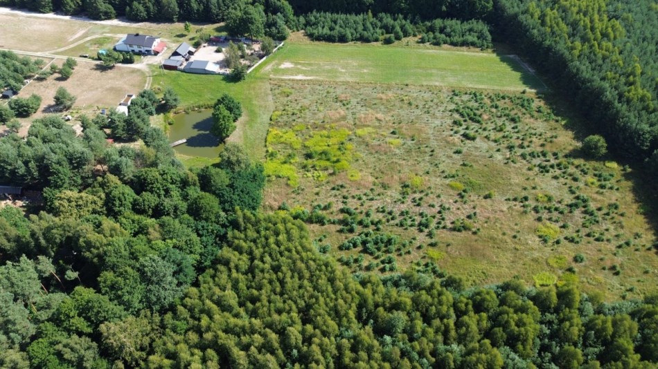 Działka Sprzedaż - świętokrzyskie, staszowski, Bogoria, Bogoria-Kolonia
