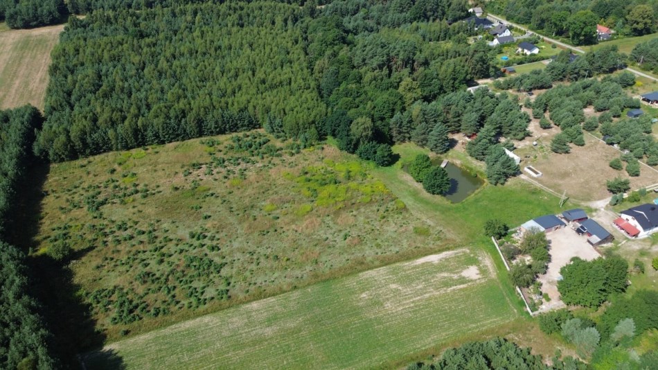 Działka Sprzedaż - świętokrzyskie, staszowski, Bogoria, Bogoria-Kolonia